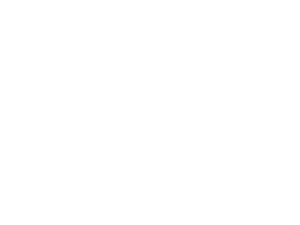 SSanygong