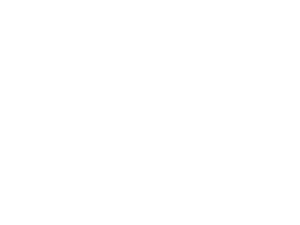 cupra_new