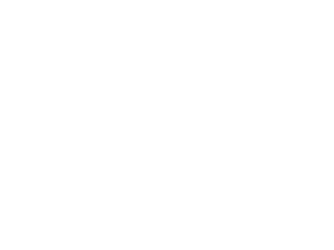 ford_new