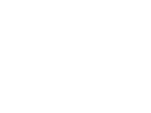 gm_new