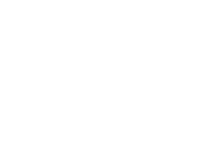 visa_new