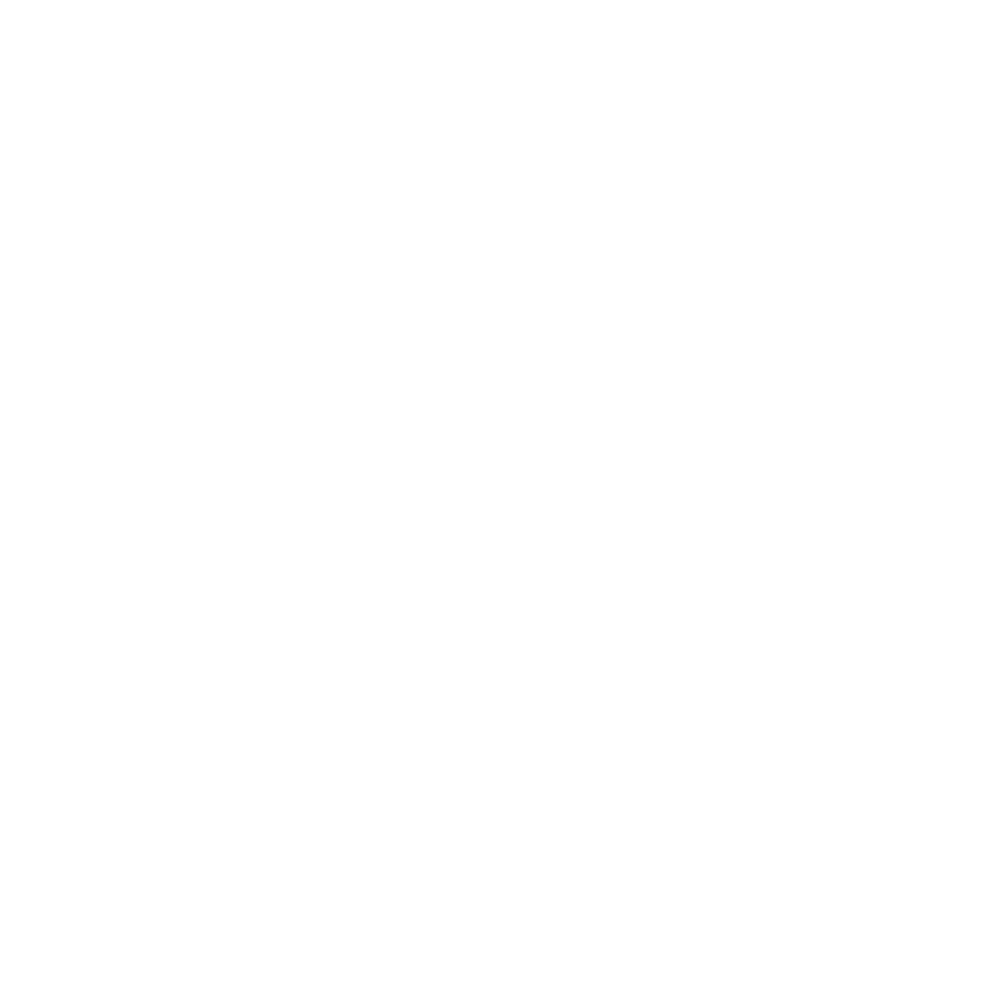person icon