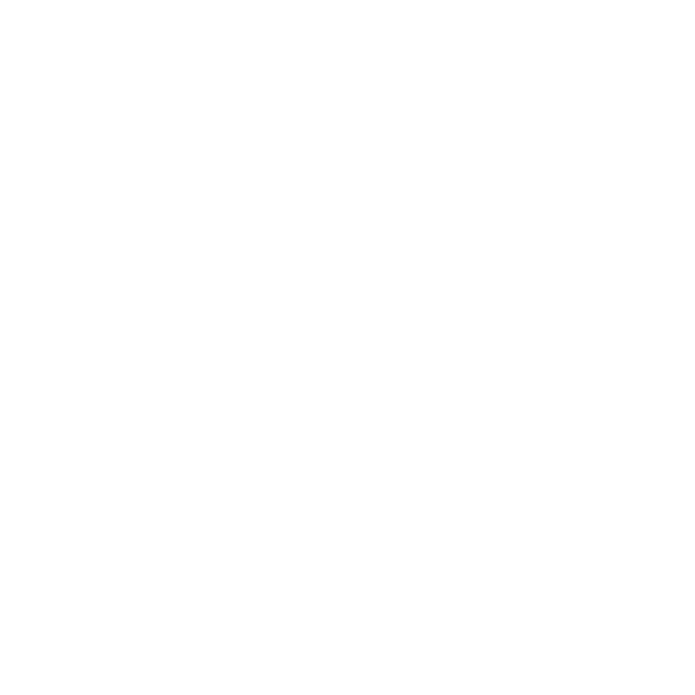 brain icon