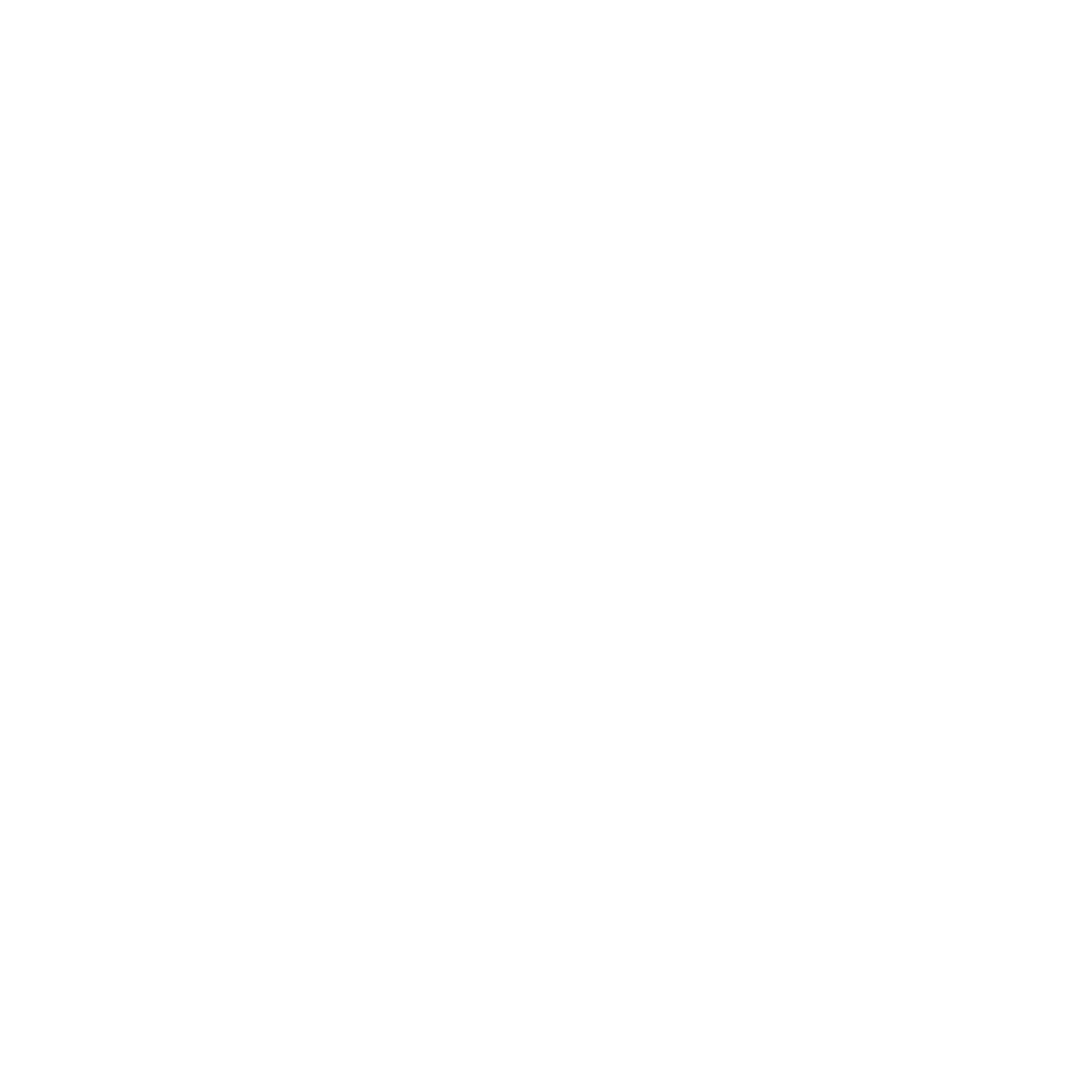 lightbulb icon