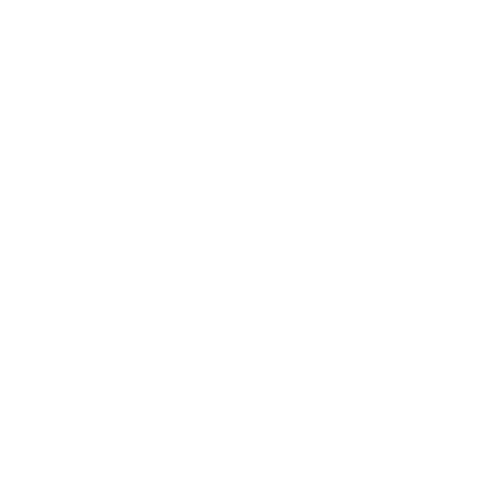 press kit icon