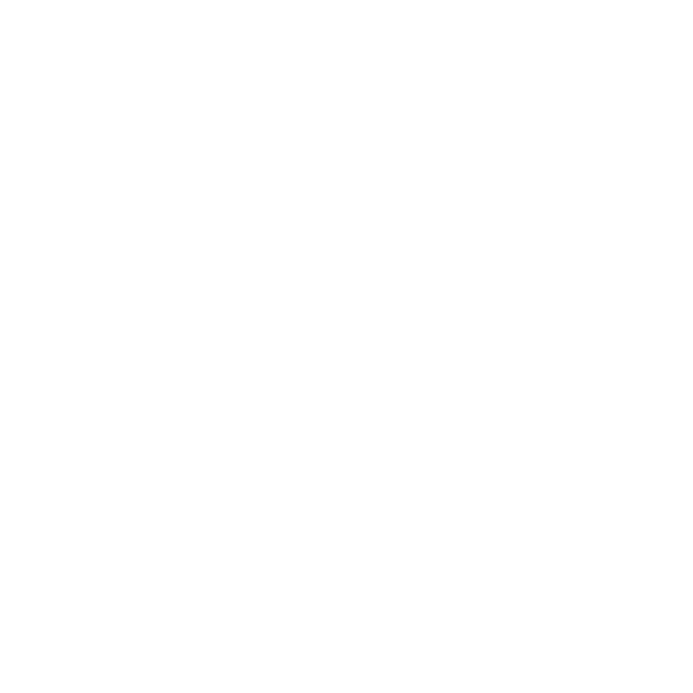 Noble website icon camera