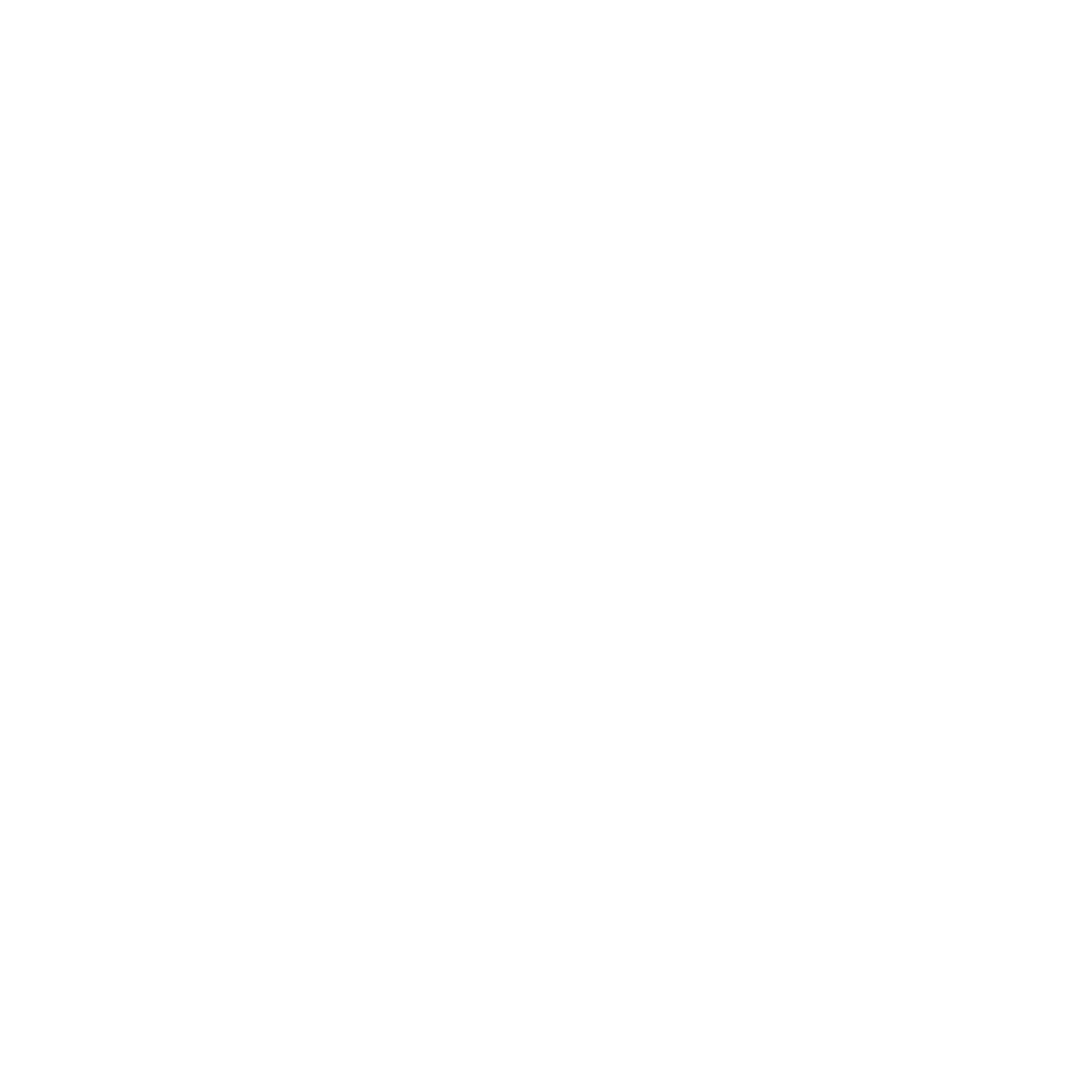 Noble Events icon rocket