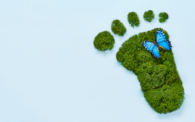 green foot print